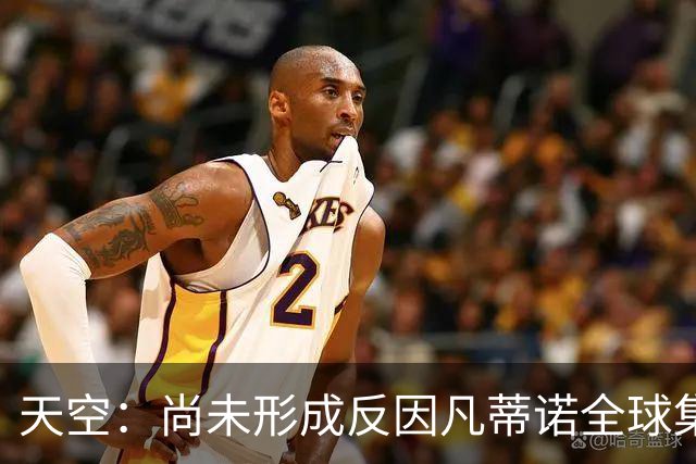 天空：尚未形成反因凡蒂诺全球集体阵营，他仍大权在握且态度强硬